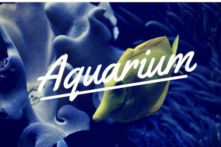 Как да изберем изгоден аквариум