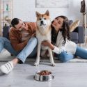Полезна и безопасна храна за кучета