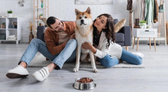 Полезна и безопасна храна за кучета